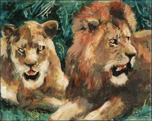 Löwenpärchen